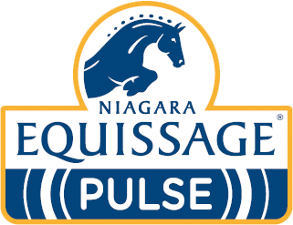 ŚWIAT WESTERNU - Niagara Equissage Pulse- Masaż koni