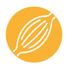 ŚWIAT WESTERNU - Niagara Equissage Pulse- Masaż koni