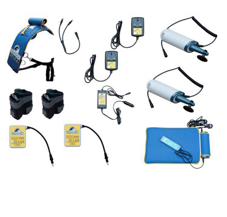 ŚWIAT WESTERNU - Niagara Equissage Pulse- Masaż koni