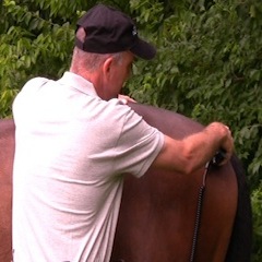 ŚWIAT WESTERNU - Niagara Equissage Pulse- Masaż koni