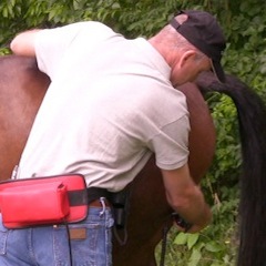 ŚWIAT WESTERNU - Niagara Equissage Pulse- Masaż koni