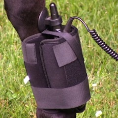 ŚWIAT WESTERNU - Niagara Equissage Pulse- Masaż koni