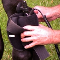 ŚWIAT WESTERNU - Niagara Equissage Pulse- Masaż koni