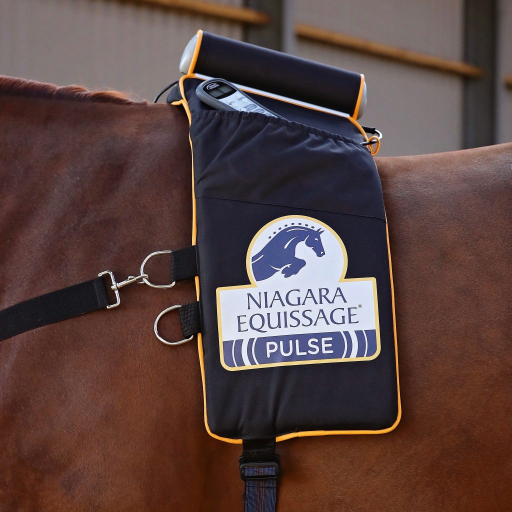 ŚWIAT WESTERNU -Niagara Equissage Pulse- Masaż koni