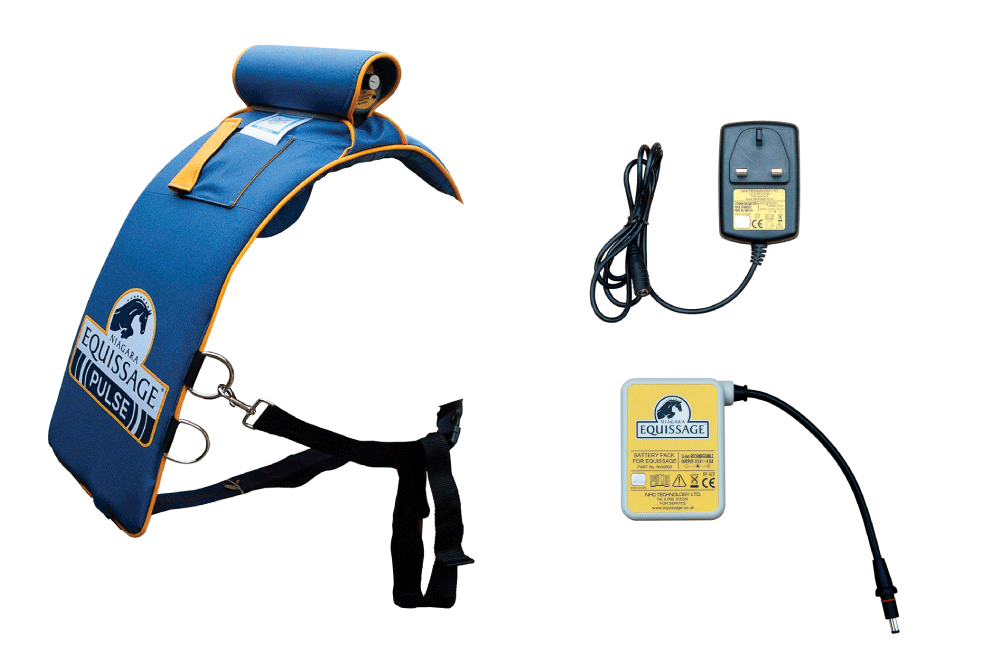 ŚWIAT WESTERNU - Niagara Equissage Pulse- Masaż koni