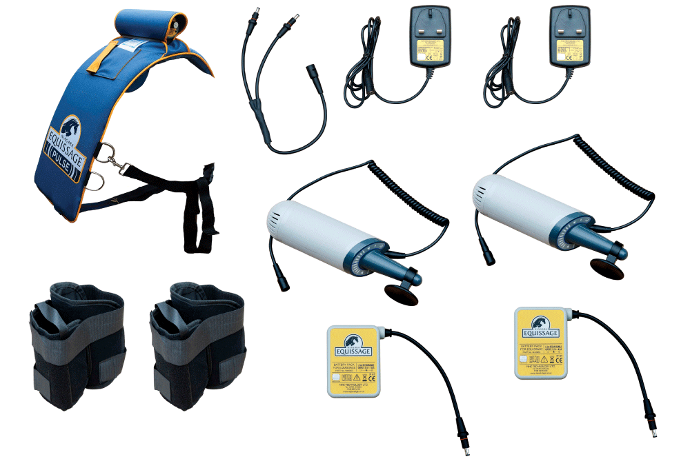 ŚWIAT WESTERNU - Niagara Equissage Pulse- Masaż koni