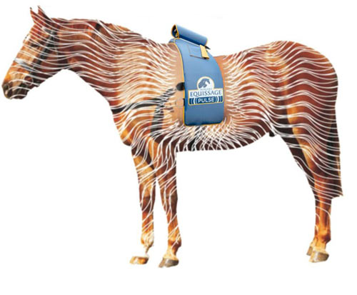ŚWIAT WESTERNU - Niagara Equissage Pulse- Masaż koni