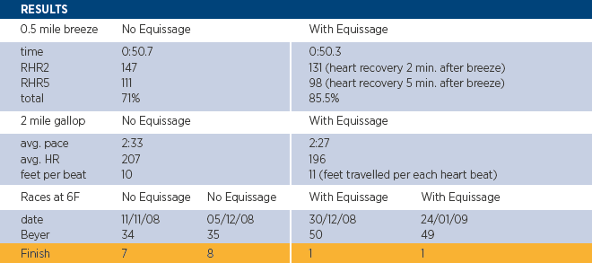 ŚWIAT WESTERNU - Niagara Equissage Pulse- Masaż koni