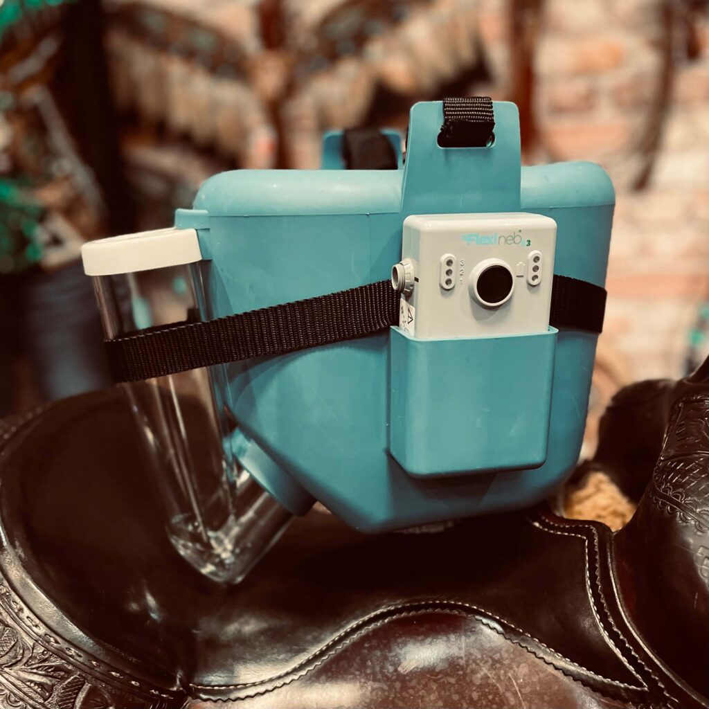 ŚWIAT WESTERNU - Flexineb