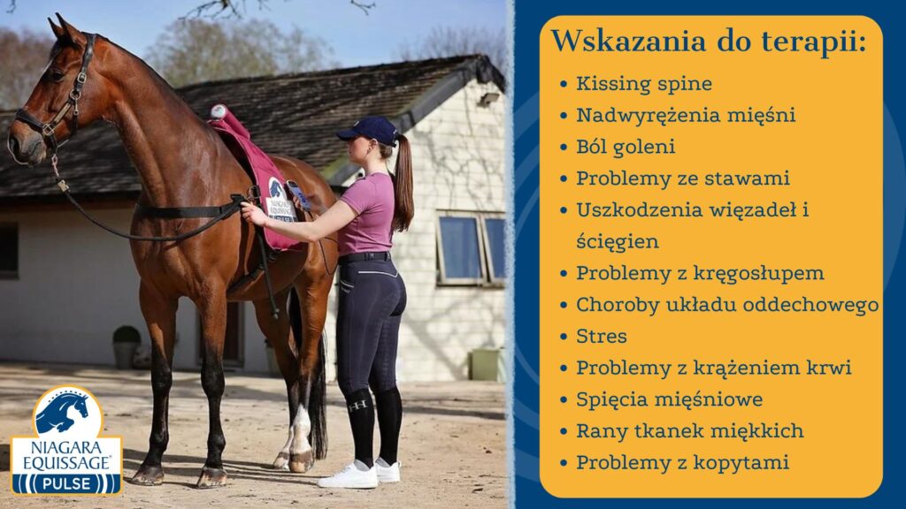 ŚWIAT WESTERNU- EQUISSAGE PULSE WSKAZANIA DO TERAPII