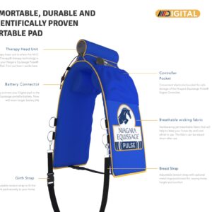 ŚWIAT WESTERNU- Masażer Niagara Equissage Pulse