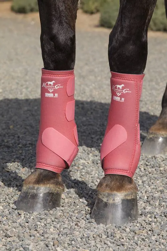 ŚWIAT WESTERNU- Ochraniacze Professional CHoice SMB II