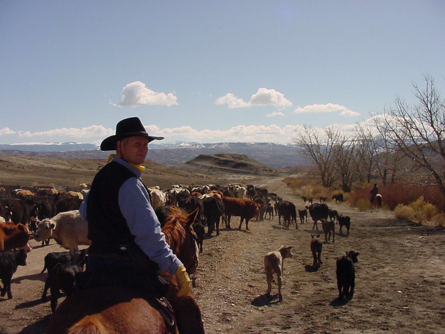 ŚWIAT WESTERNU- Mustang historia dzikiego konia: DUCHY PRERII