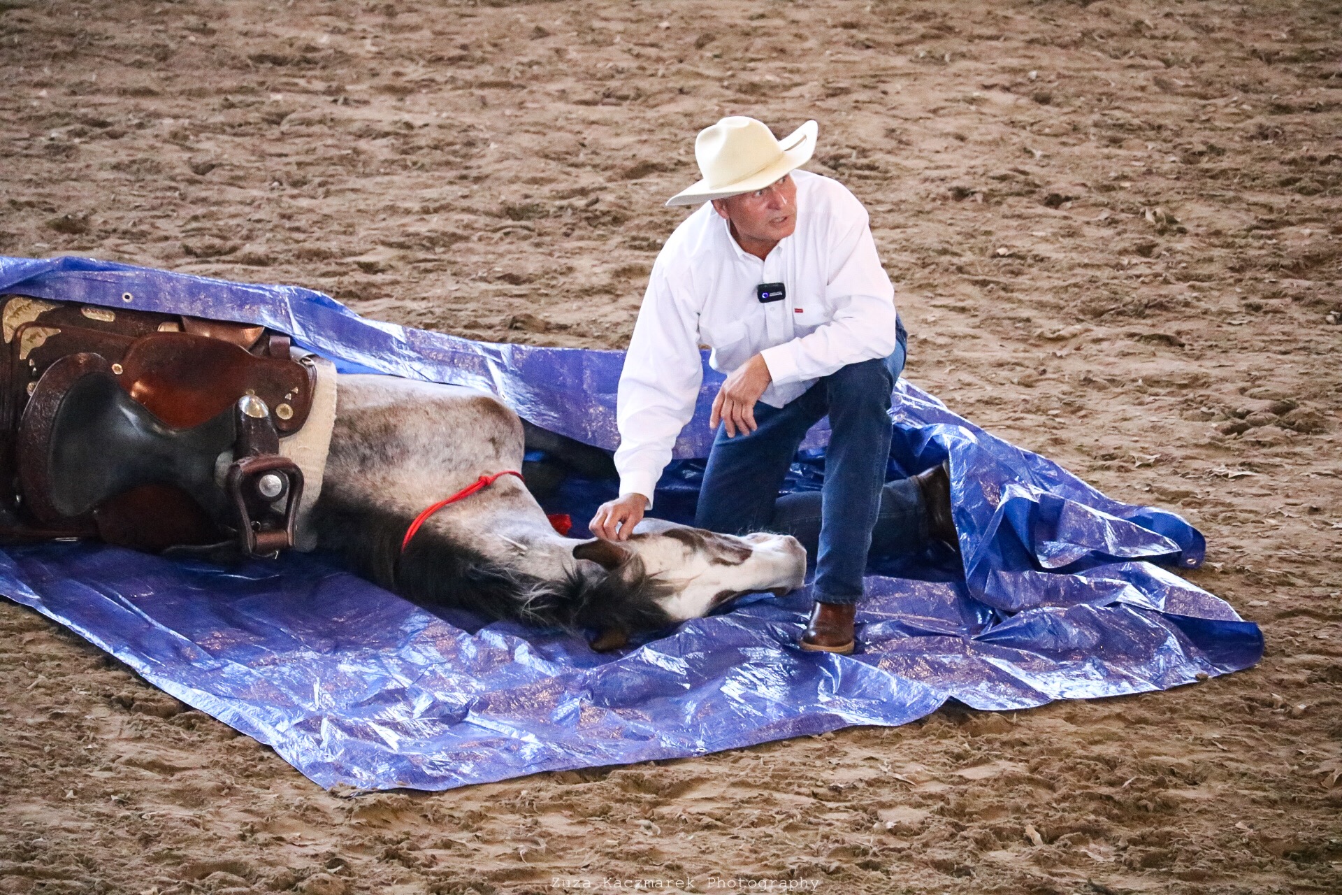 ŚWIAT WESTERNU- Mustang historia dzikiego konia: DUCHY PRERII