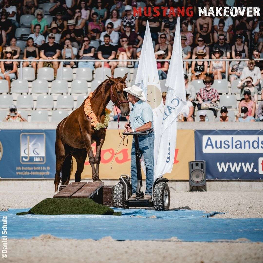 ŚWIAT WESTERNU- Mustang historia dzikiego konia: DUCHY PRERII