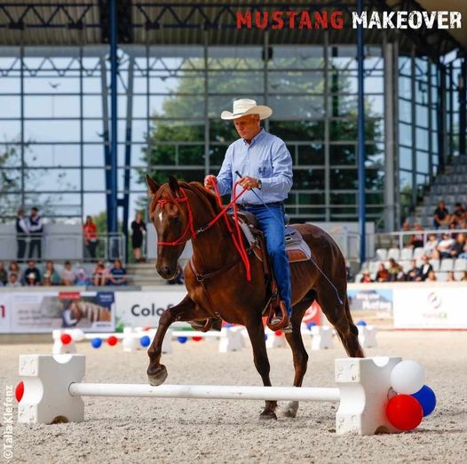 ŚWIAT WESTERNU- Mustang historia dzikiego konia: DUCHY PRERII