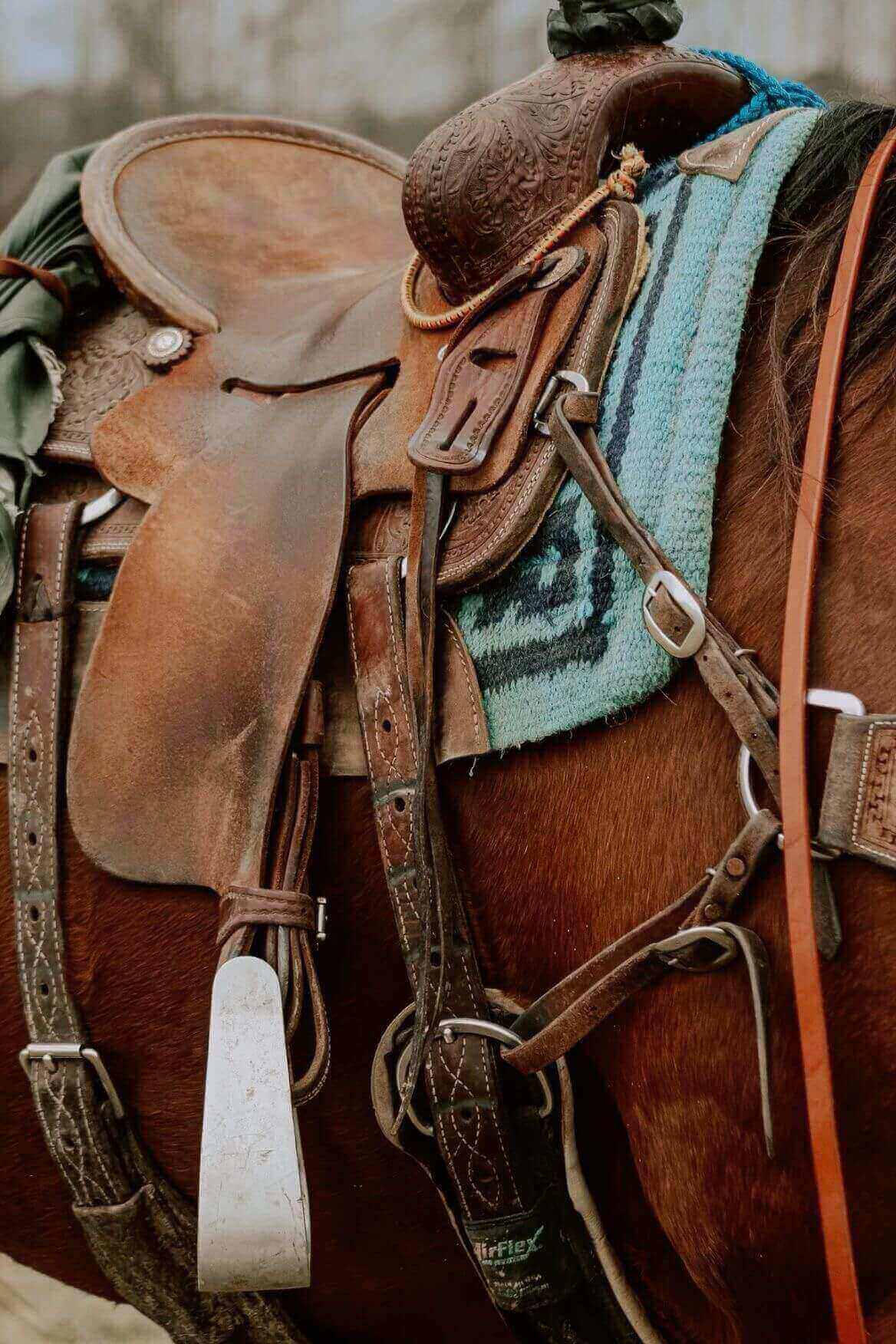 ŚWIAT WESTERNU-Jakie siodło westernowe wybrać? Przewodnik